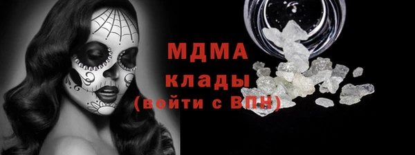 гидра Ессентукская