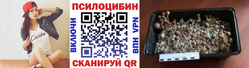 Галлюциногенные грибы Cubensis  как найти   Жуков 